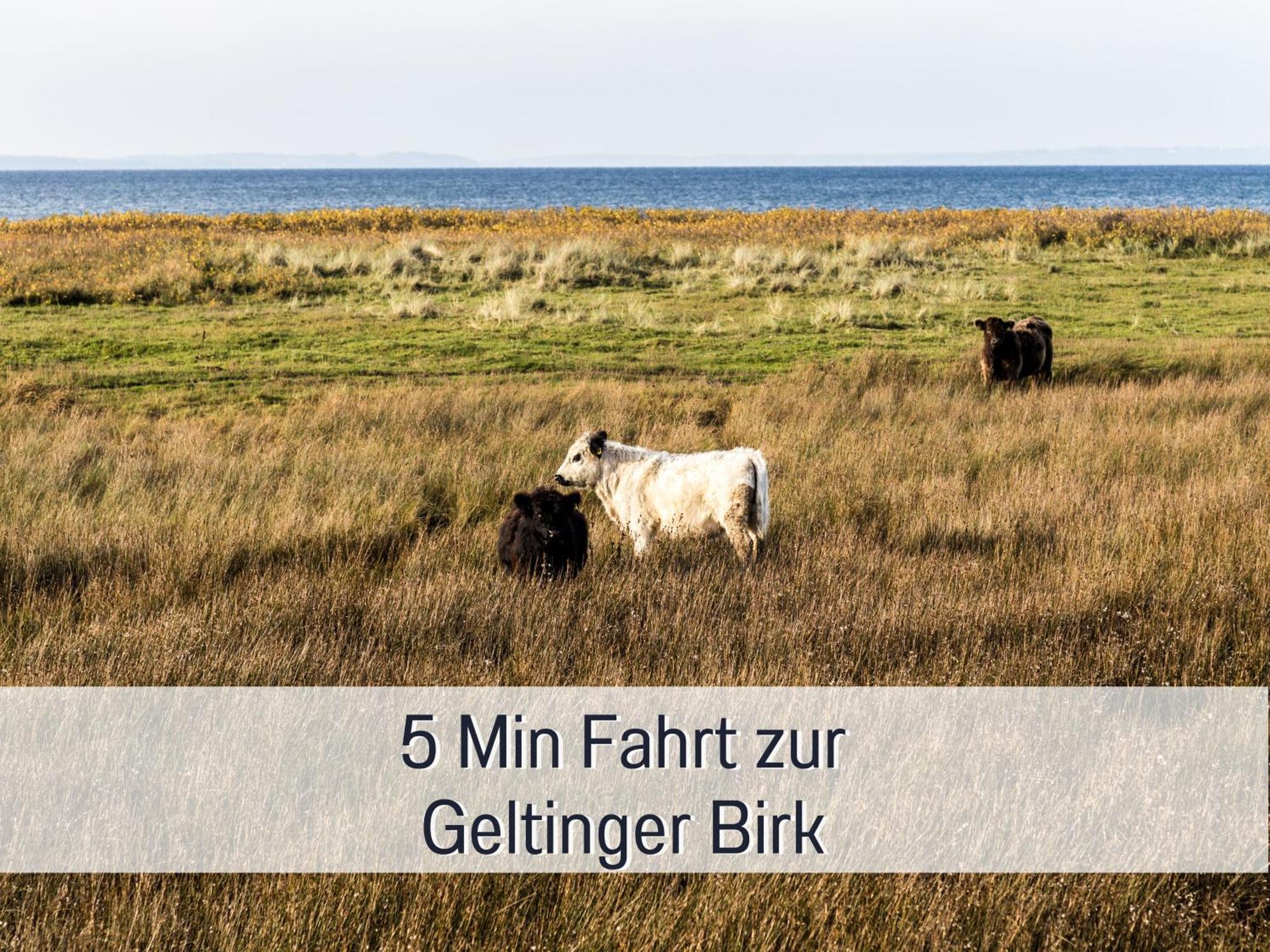 Ferienloft Sternenblick - Strandnah, Haustierfreundlich, Tolle Kueche, Optimal Fuer Workation, 4 Personen Steinberg (Schleswig-Holstein) Exterior foto